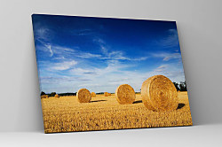 Obraz Balíky slamy na poli zs1236